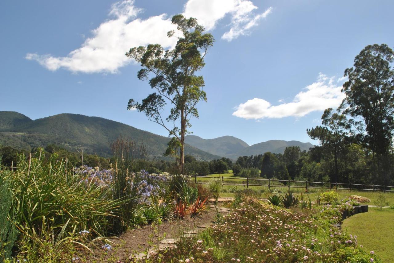 Lombard Villa Plettenberg Bay Ngoại thất bức ảnh