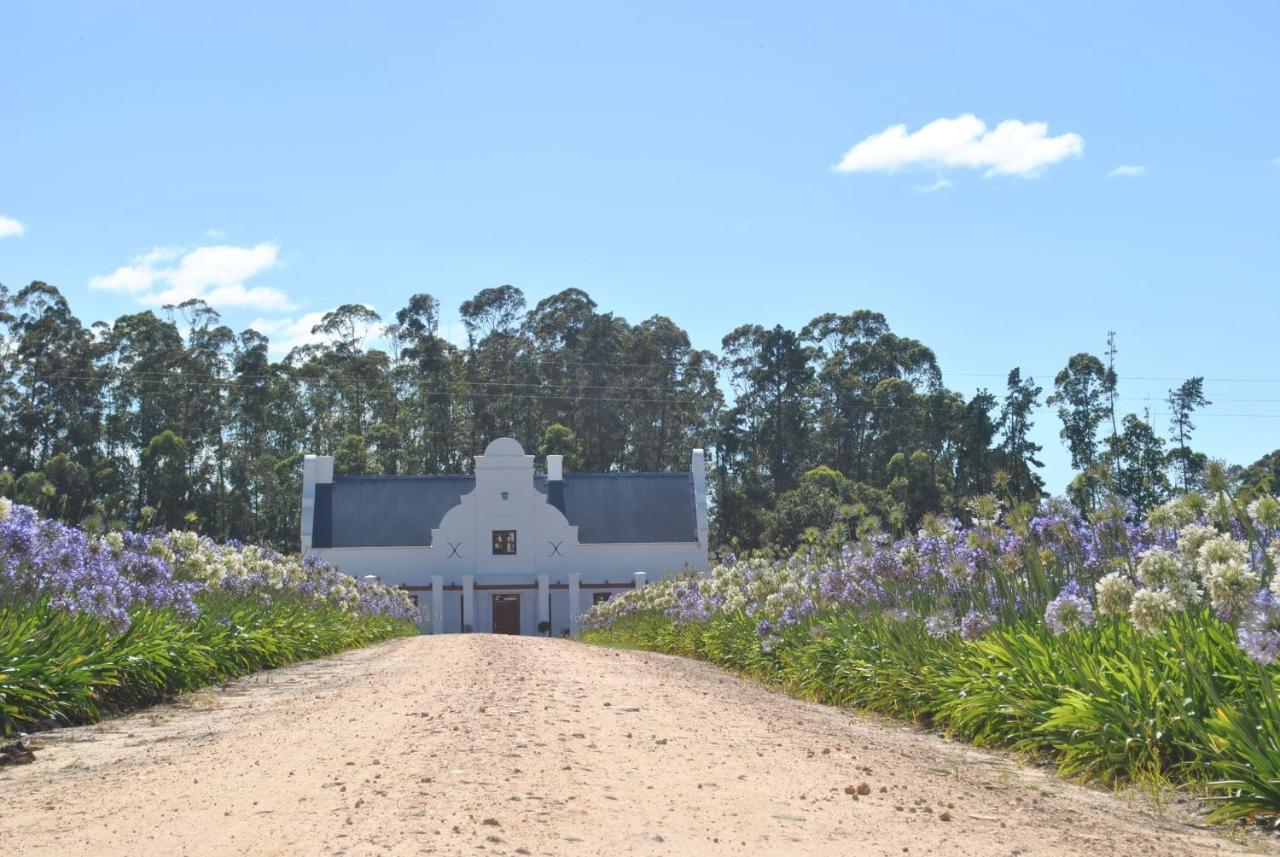 Lombard Villa Plettenberg Bay Ngoại thất bức ảnh